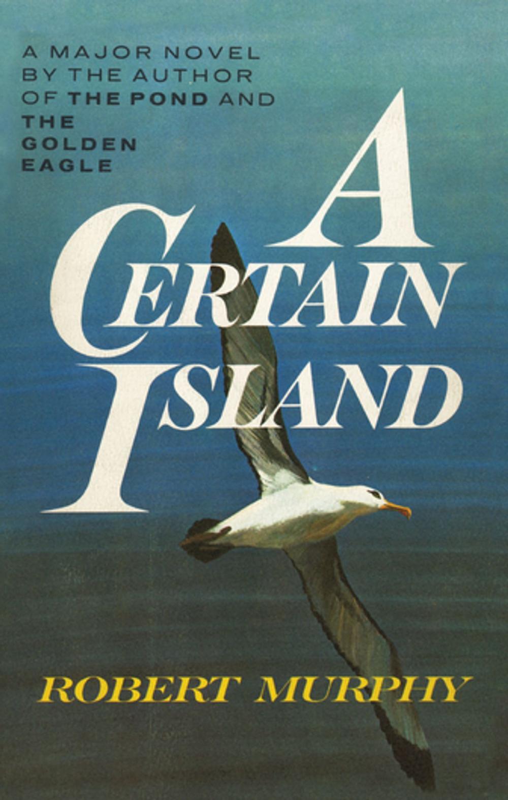 Big bigCover of A Certain Island