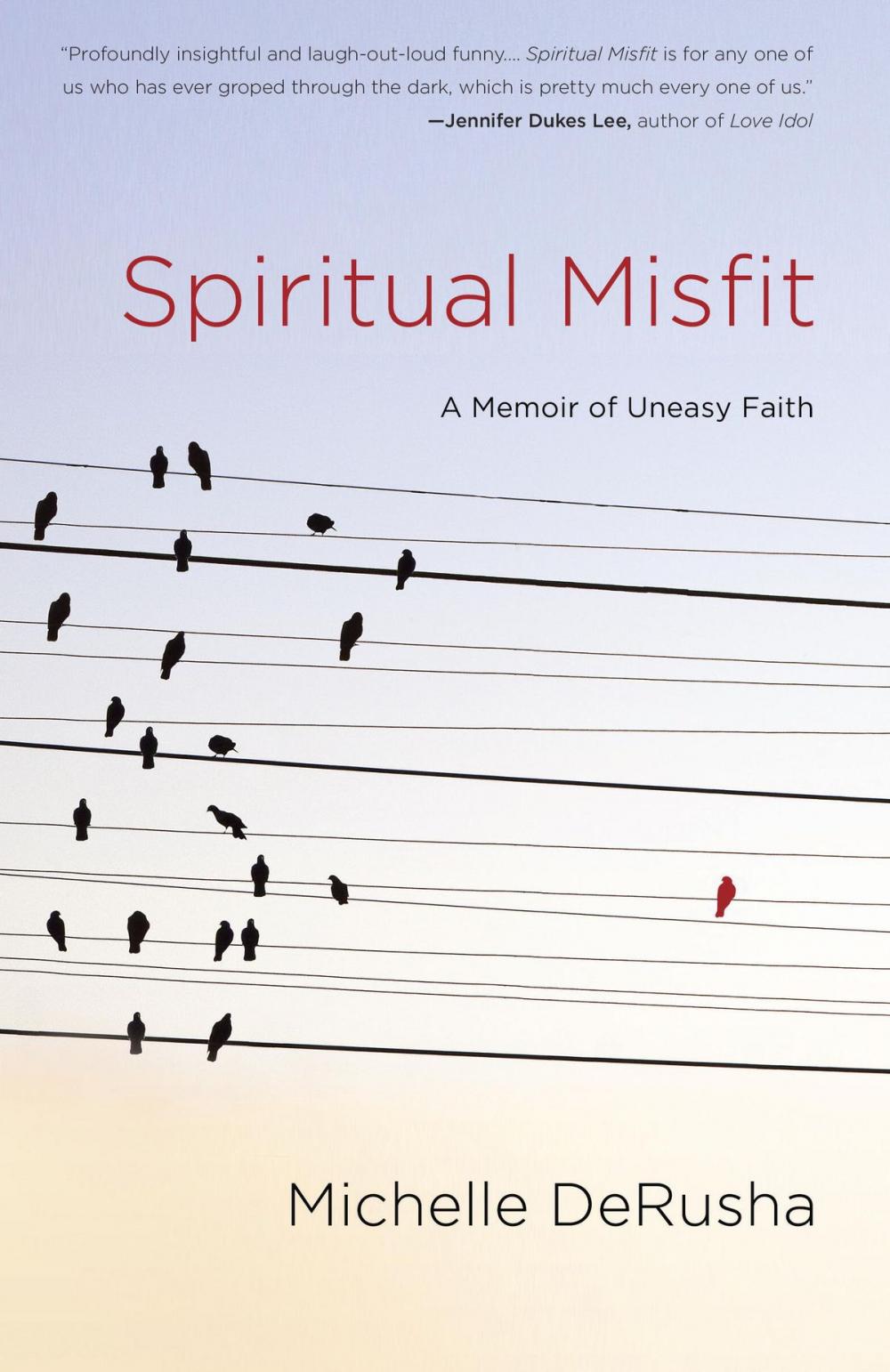 Big bigCover of Spiritual Misfit