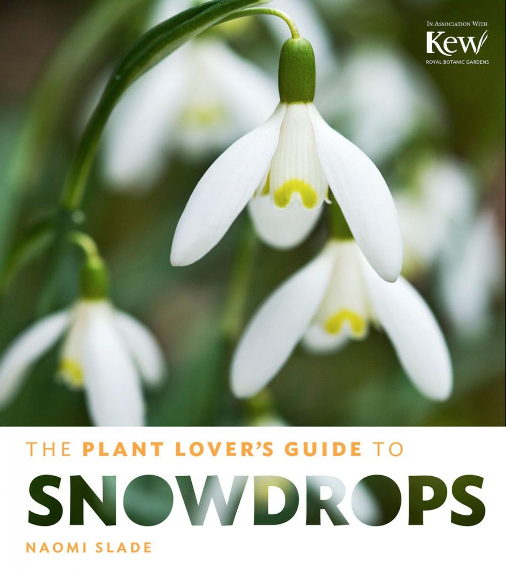 Big bigCover of The Plant Lover's Guide to Snowdrops