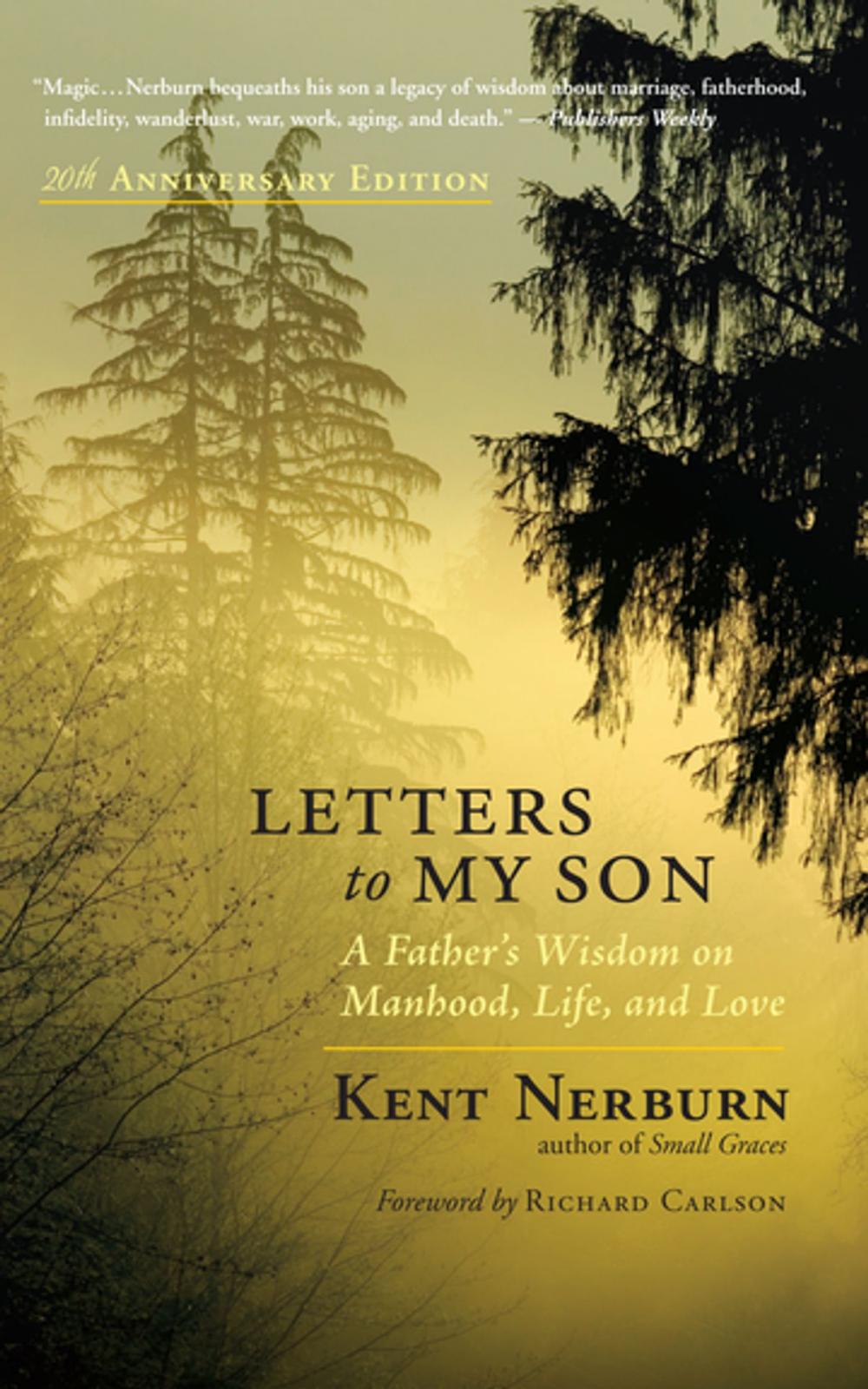 Big bigCover of Letters to My Son