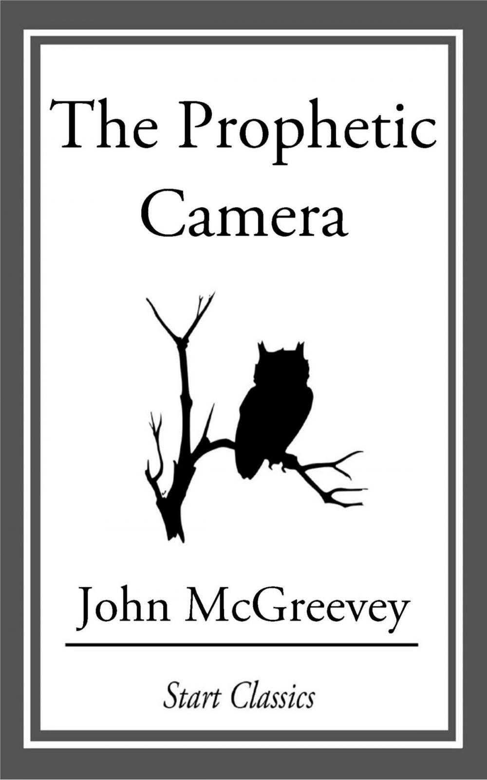 Big bigCover of The Prophetic Camera