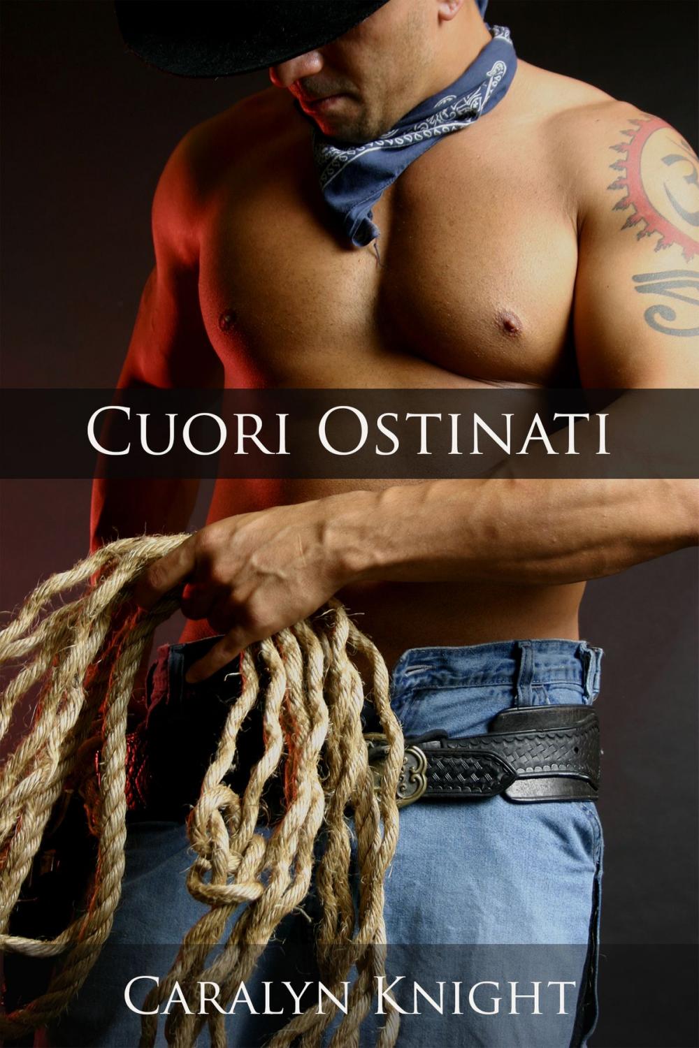 Big bigCover of Cuori Ostinati