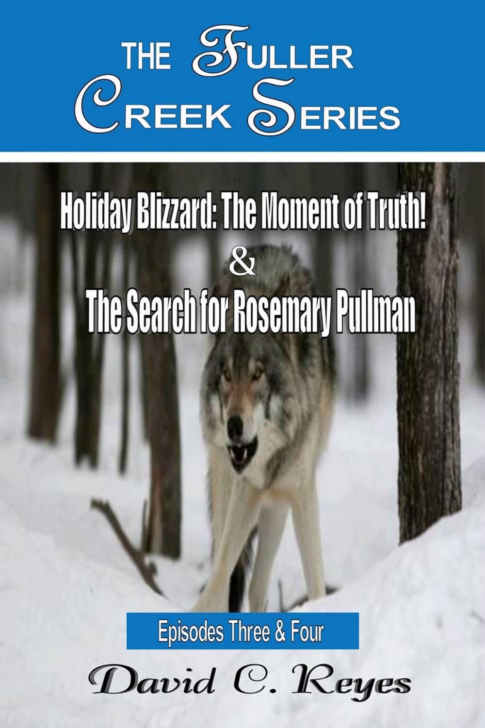 Big bigCover of The Fuller Creek Series; Holiday Blizzard, The Moment of Truth! & The Search for Rosemary Pullman