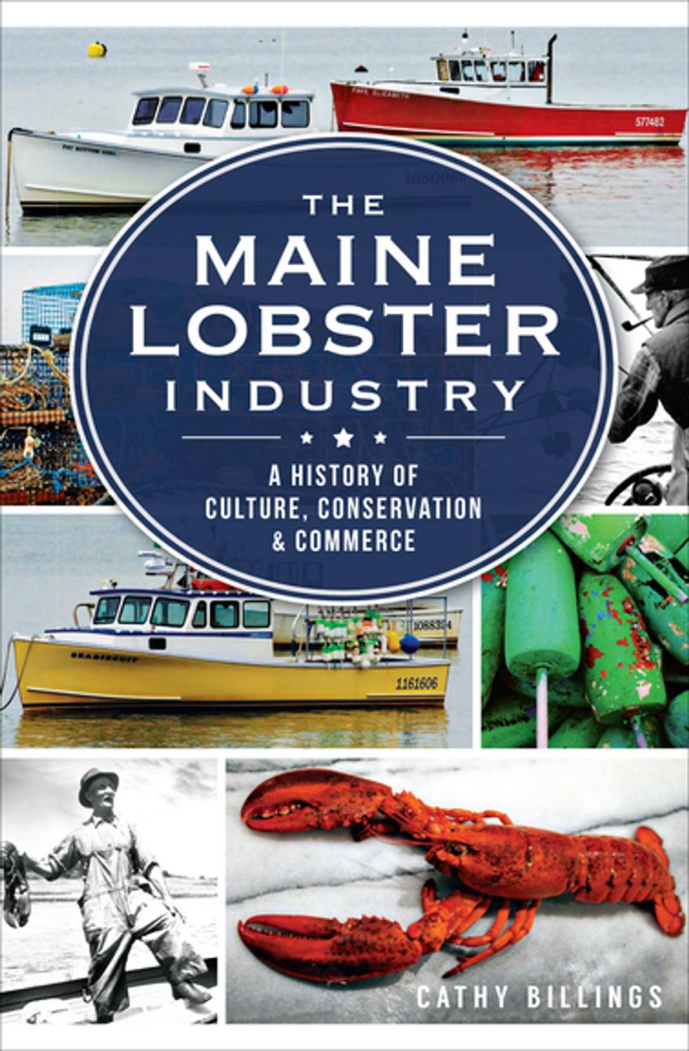 Big bigCover of The Maine Lobster Industry