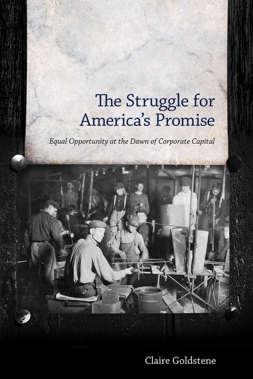 Big bigCover of The Struggle for America's Promise