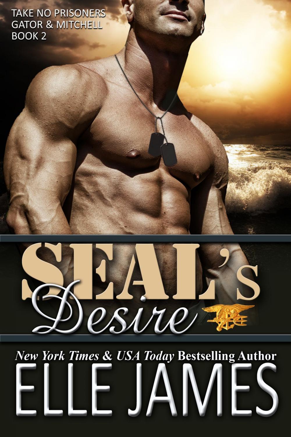 Big bigCover of SEAL's Desire