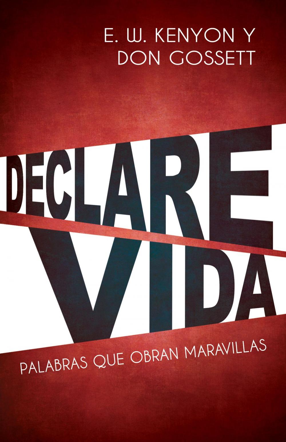 Big bigCover of Declare vida