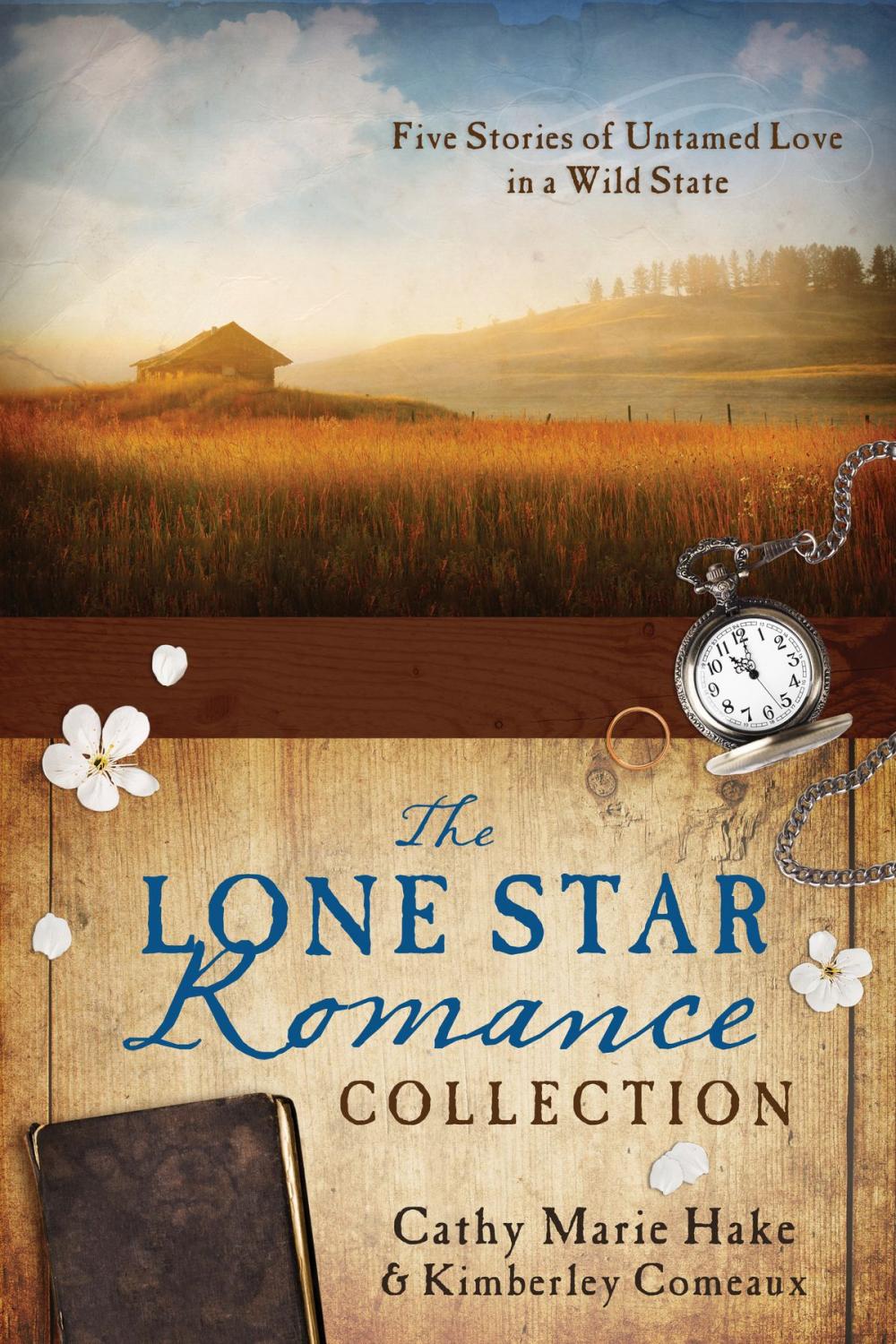 Big bigCover of The Lone Star Romance Collection