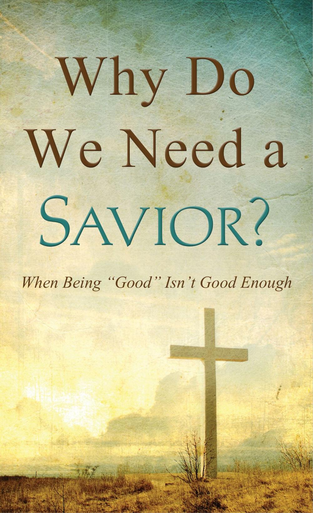 Big bigCover of Why Do We Need a Savior?