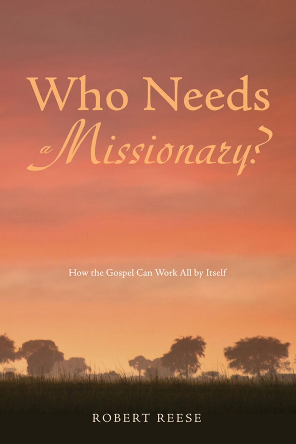 Big bigCover of Who Needs a Missionary?