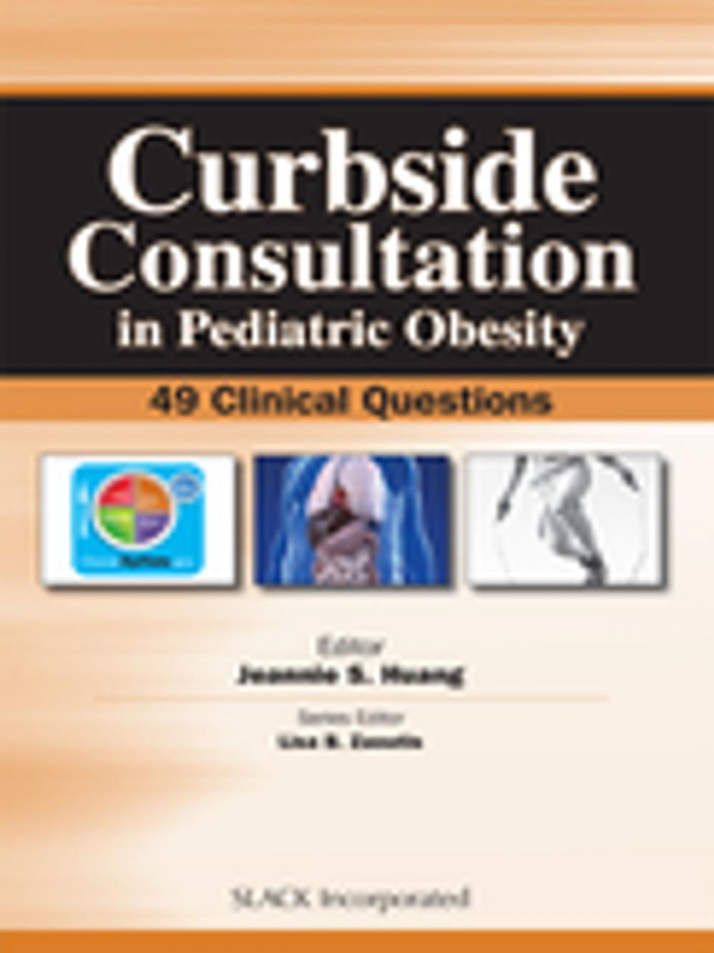 Big bigCover of Curbside Consultation in Pediatric Obesity