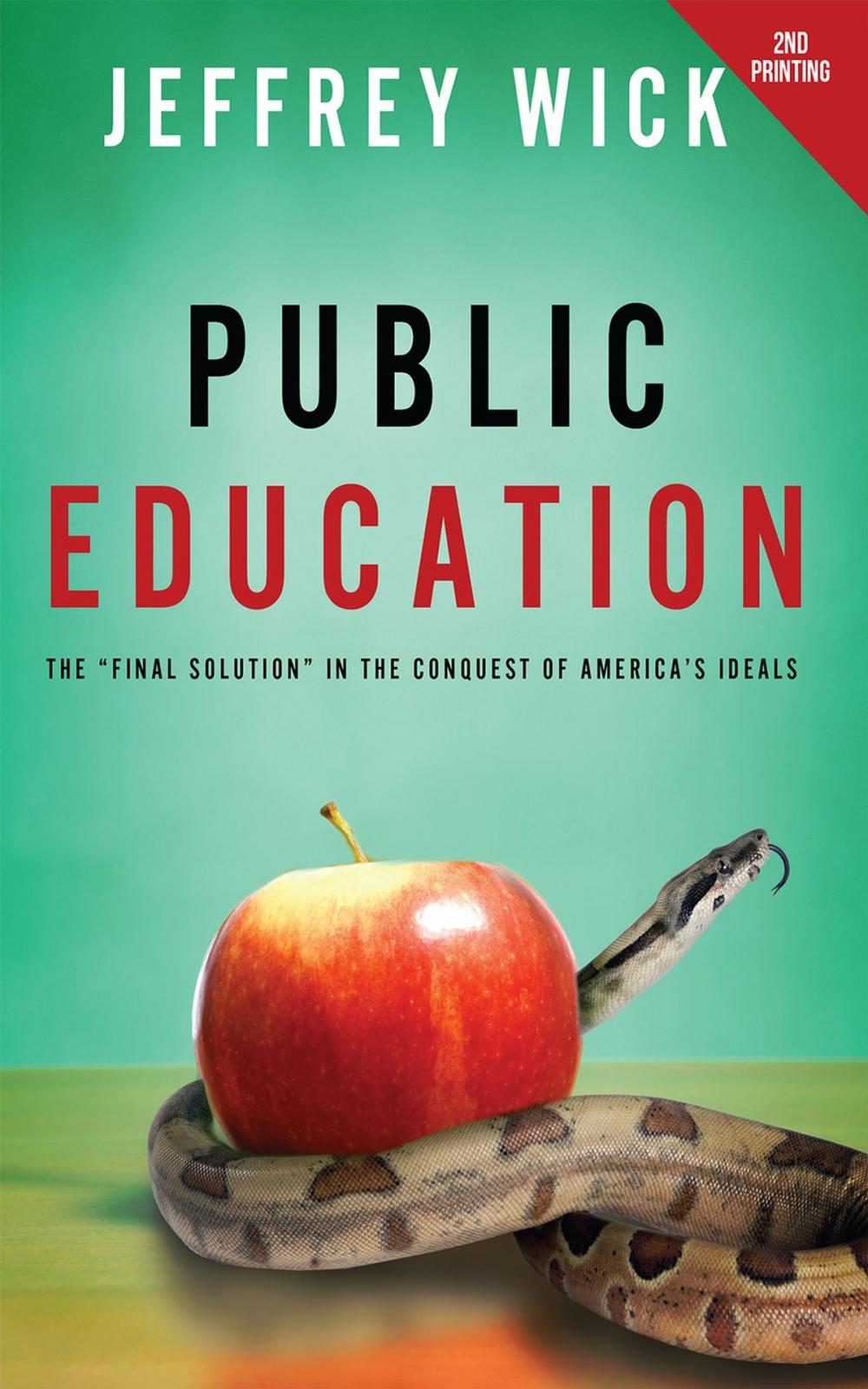 Big bigCover of Public Education