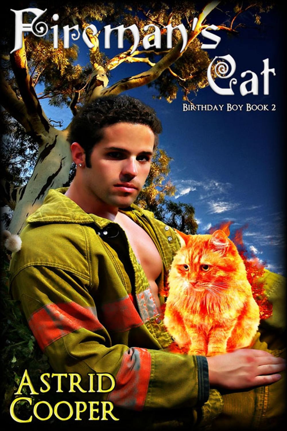 Big bigCover of Fireman's Cat