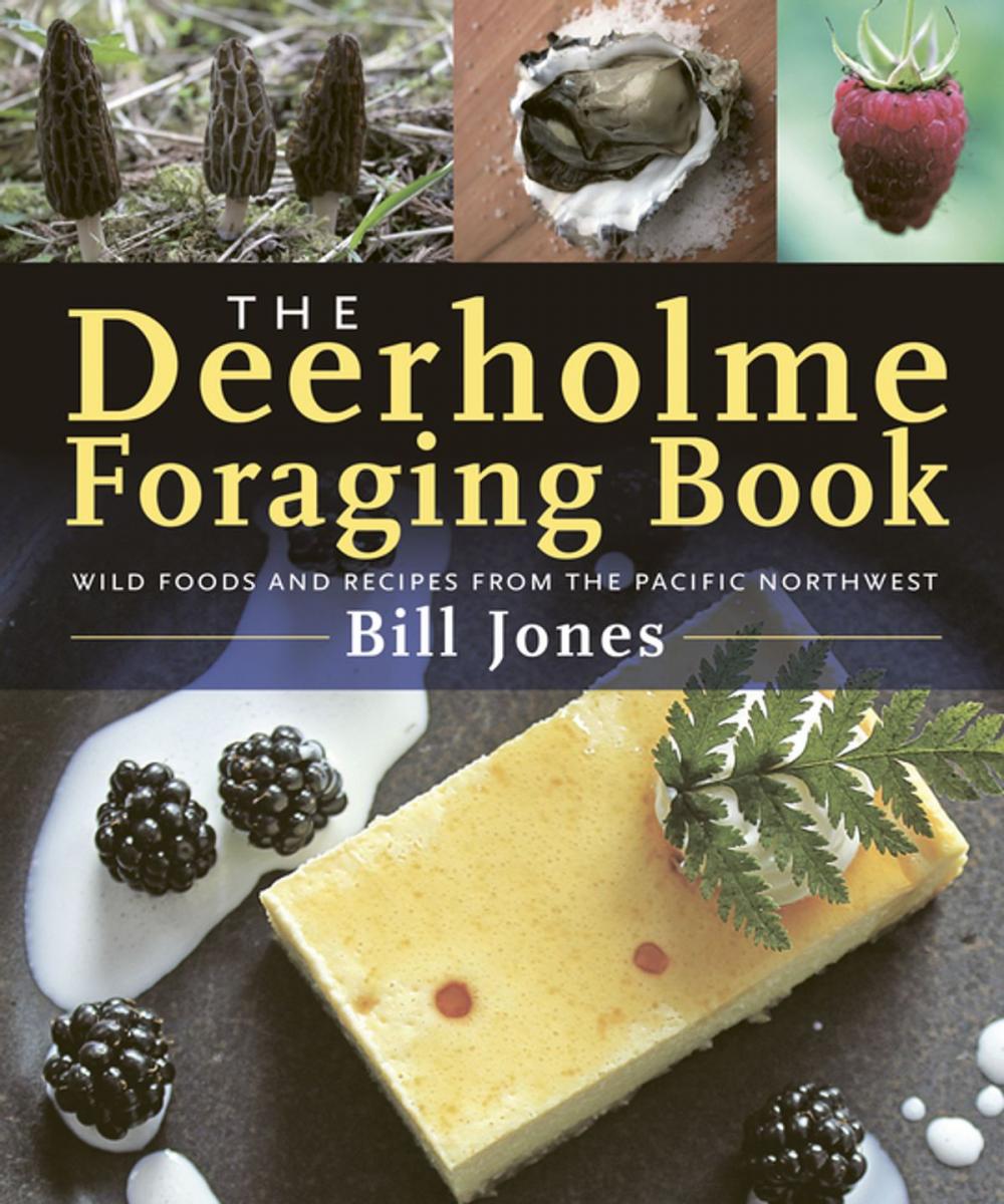 Big bigCover of The Deerholme Foraging Book