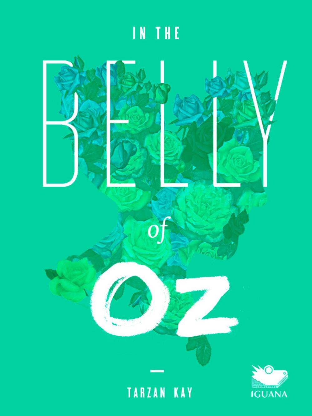 Big bigCover of In the Belly of Oz