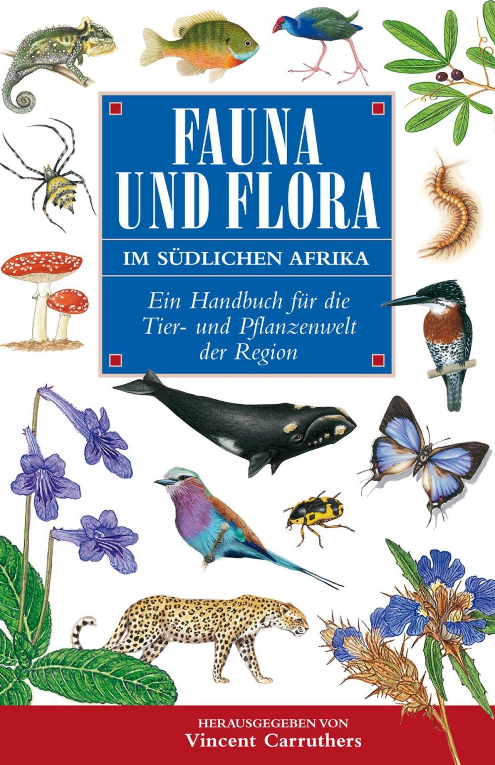 Big bigCover of Fauna und Flora Im Südlichen Afrika