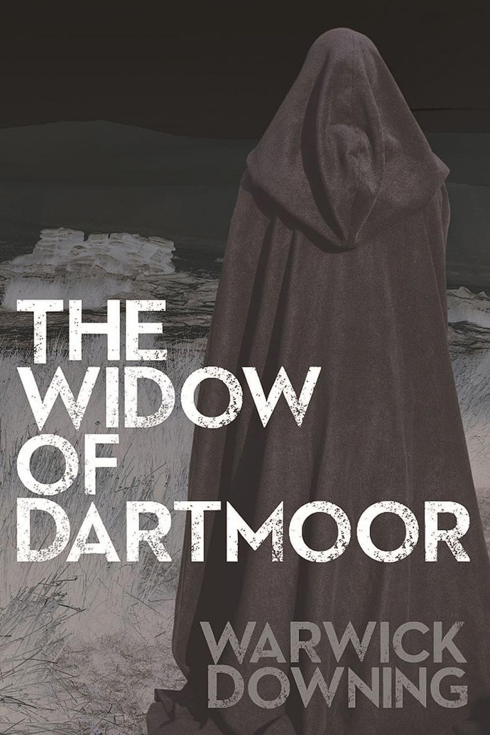 Big bigCover of The Widow of Dartmoor