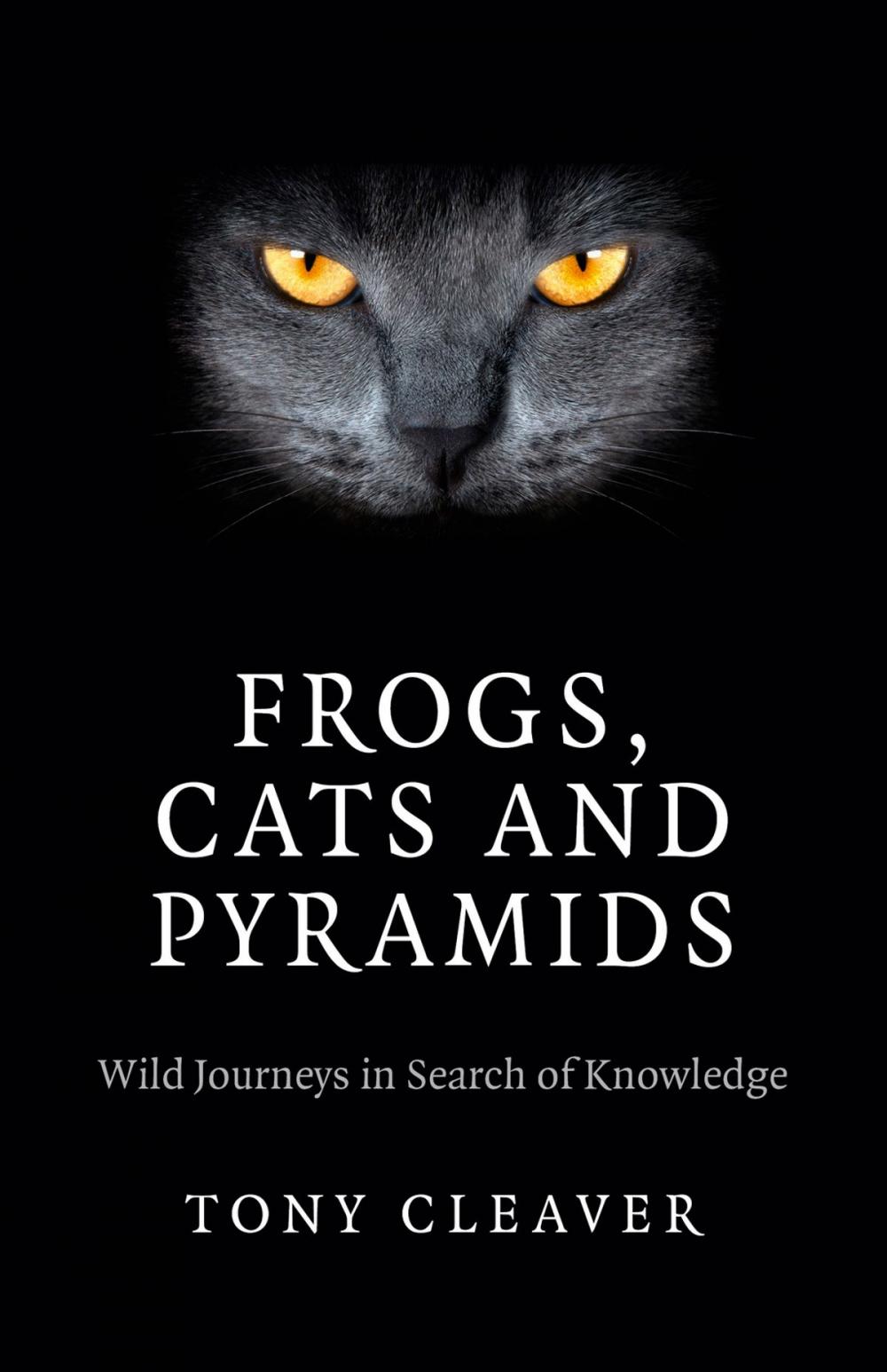 Big bigCover of Frogs, Cats and Pyramids