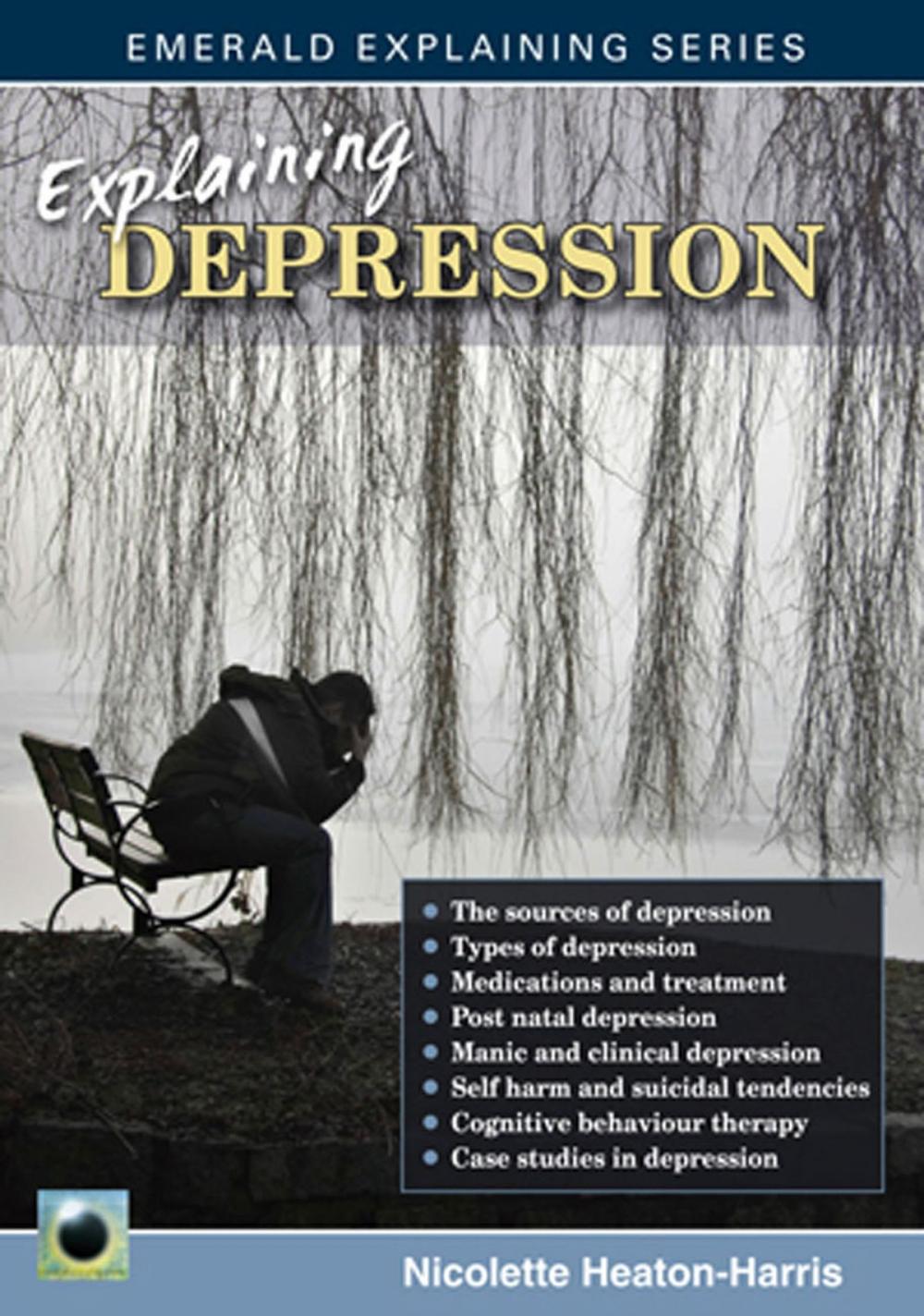 Big bigCover of Explaining Depression