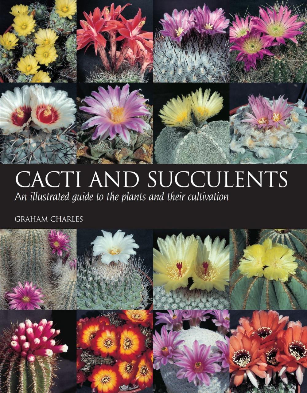 Big bigCover of Cacti and Succulents