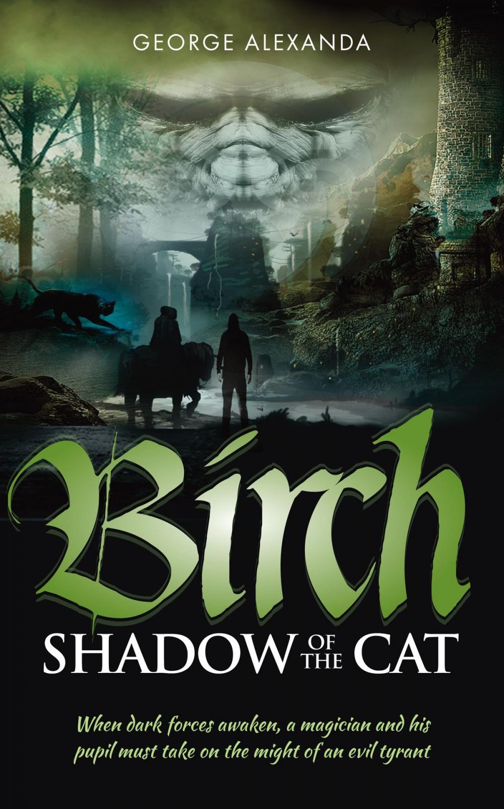 Big bigCover of Birch Shadow of the Cat