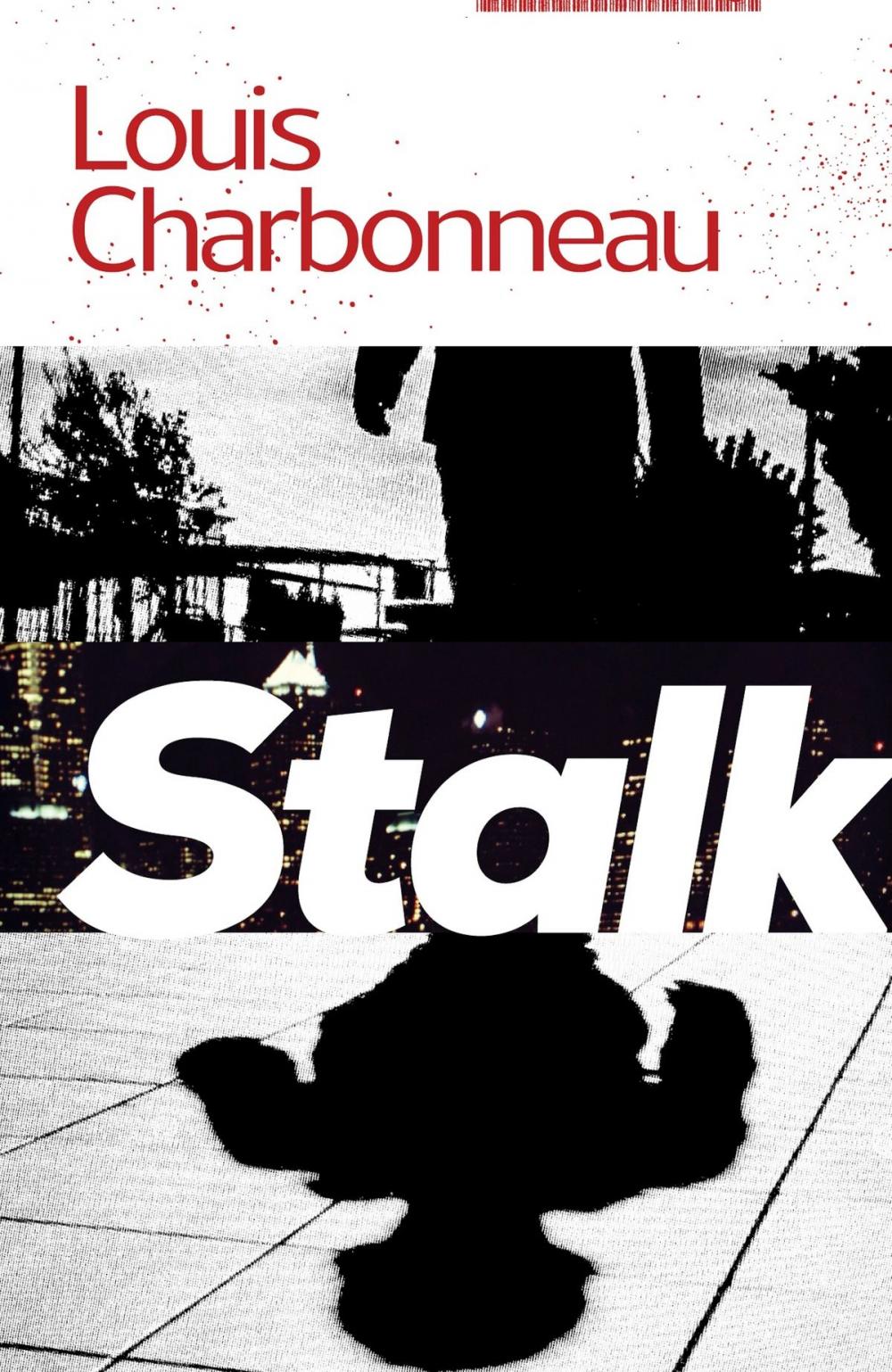 Big bigCover of Stalk