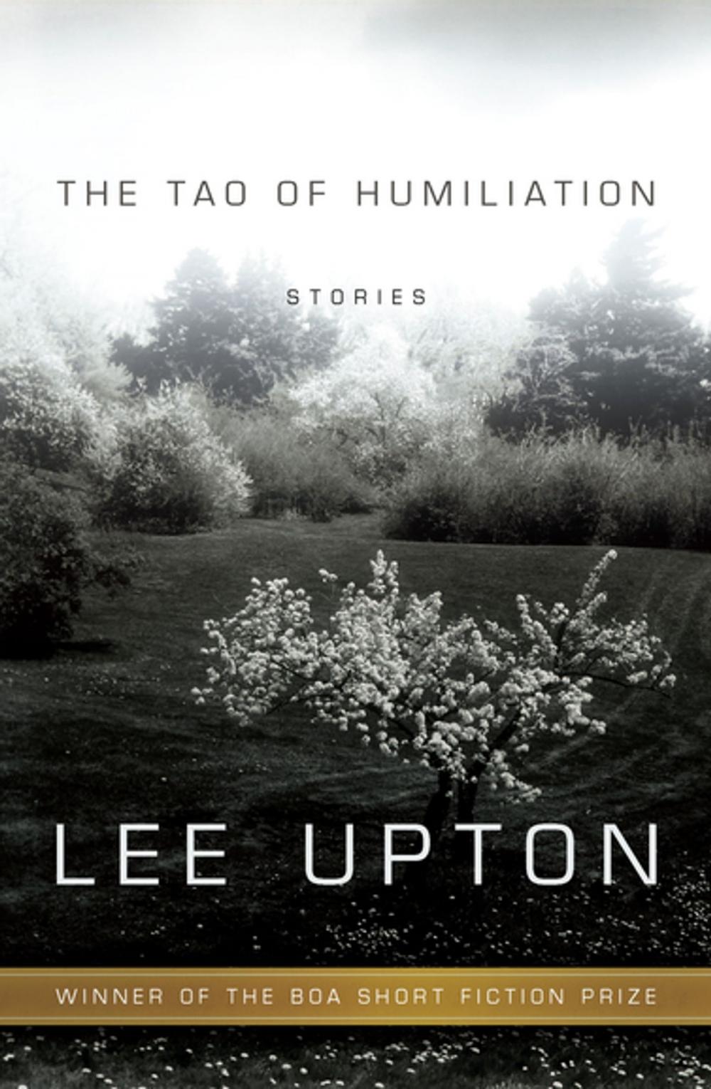 Big bigCover of The Tao of Humiliation