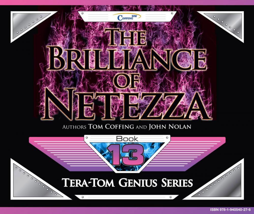 Big bigCover of The Brilliance of Netezza