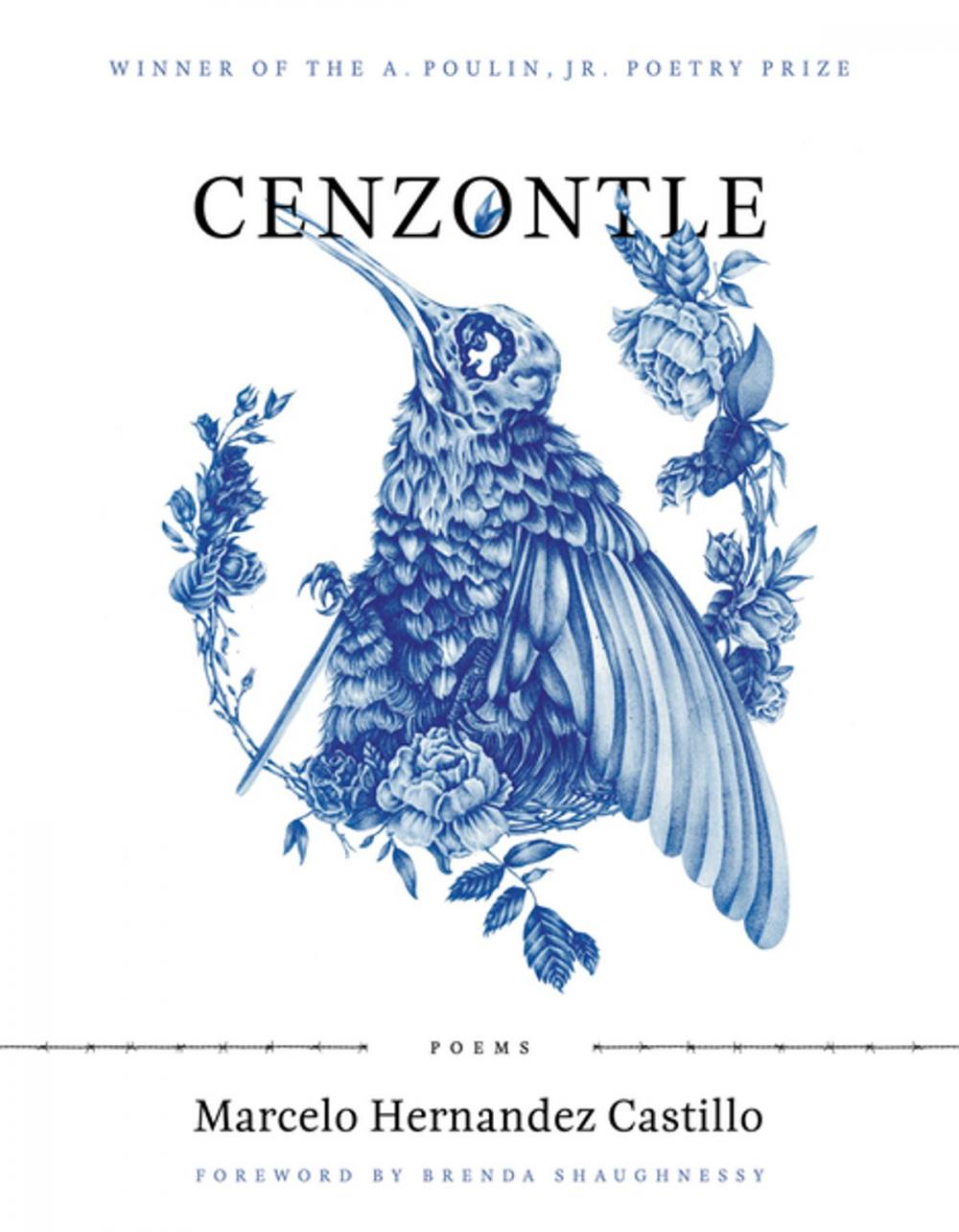 Big bigCover of Cenzontle