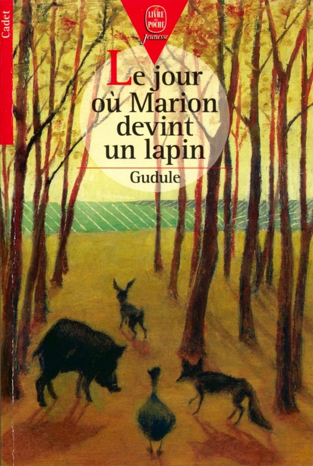 Big bigCover of Le jour où Marion devint un lapin