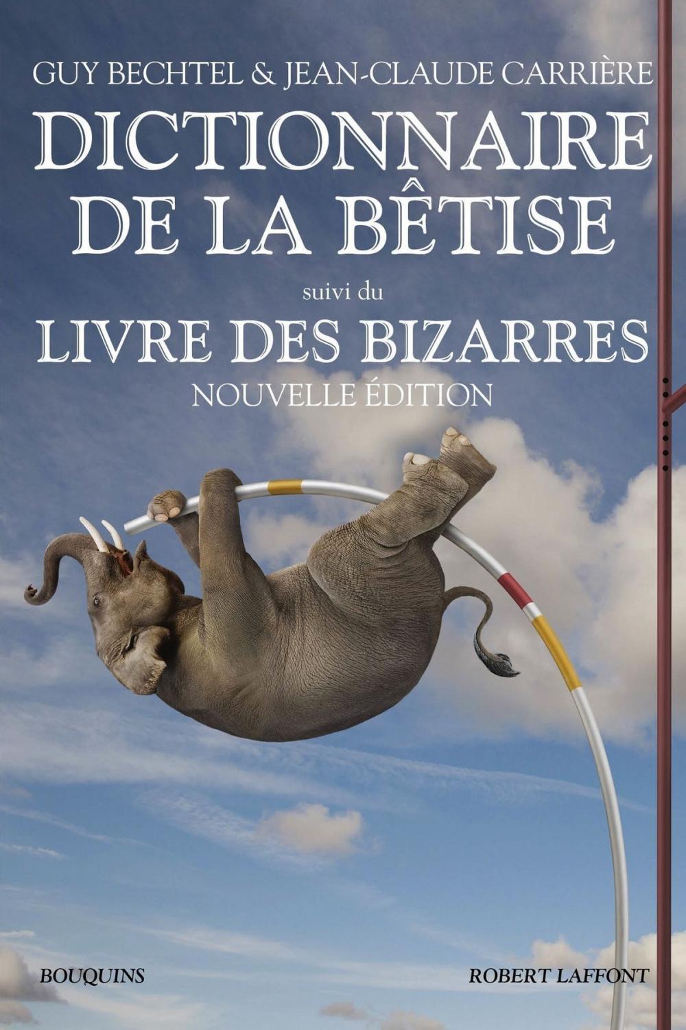 Big bigCover of Dictionnaire de la bêtise