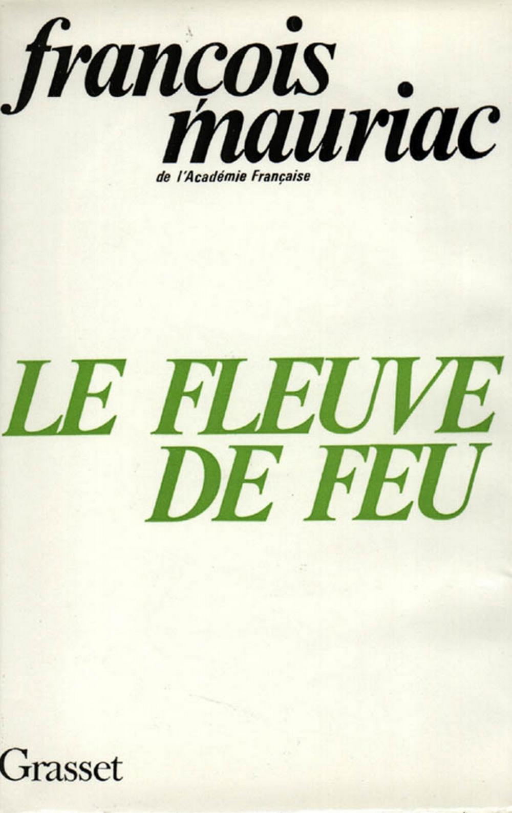 Big bigCover of Le fleuve de feu