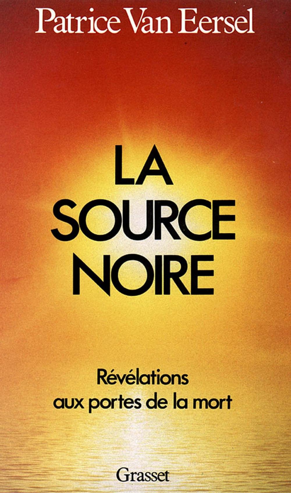 Big bigCover of La source noire