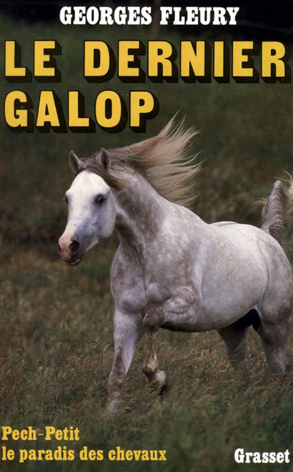 Big bigCover of Le dernier galop