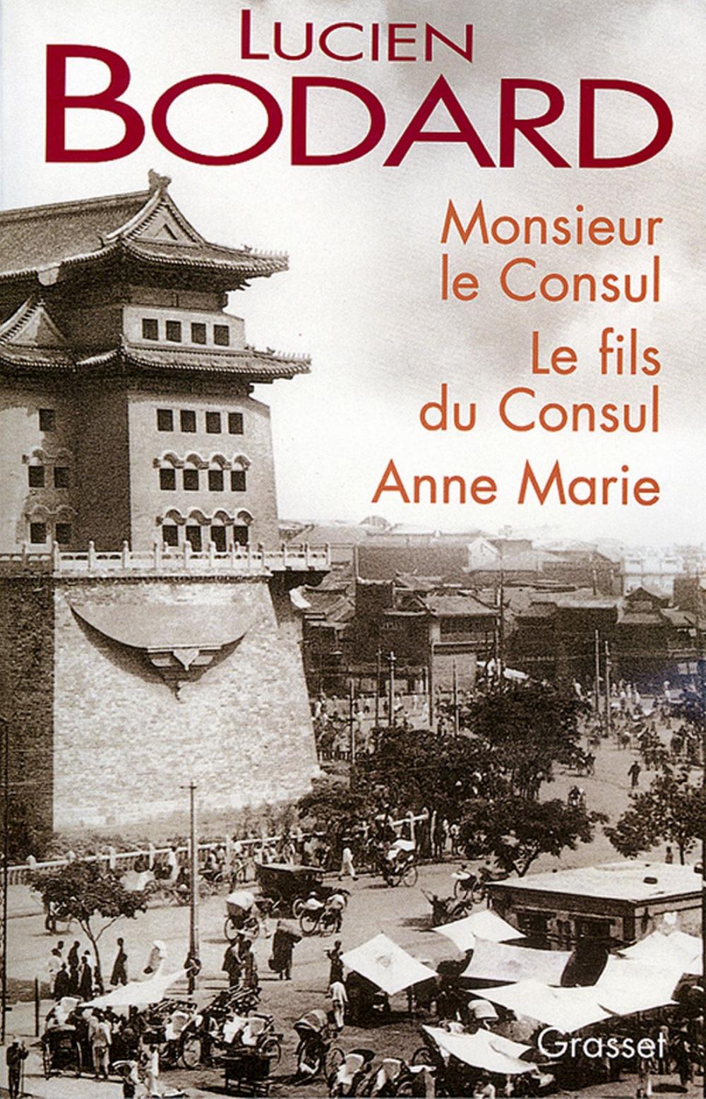 Big bigCover of Monsieur le Consul - Le fils du Consul - Anne Marie