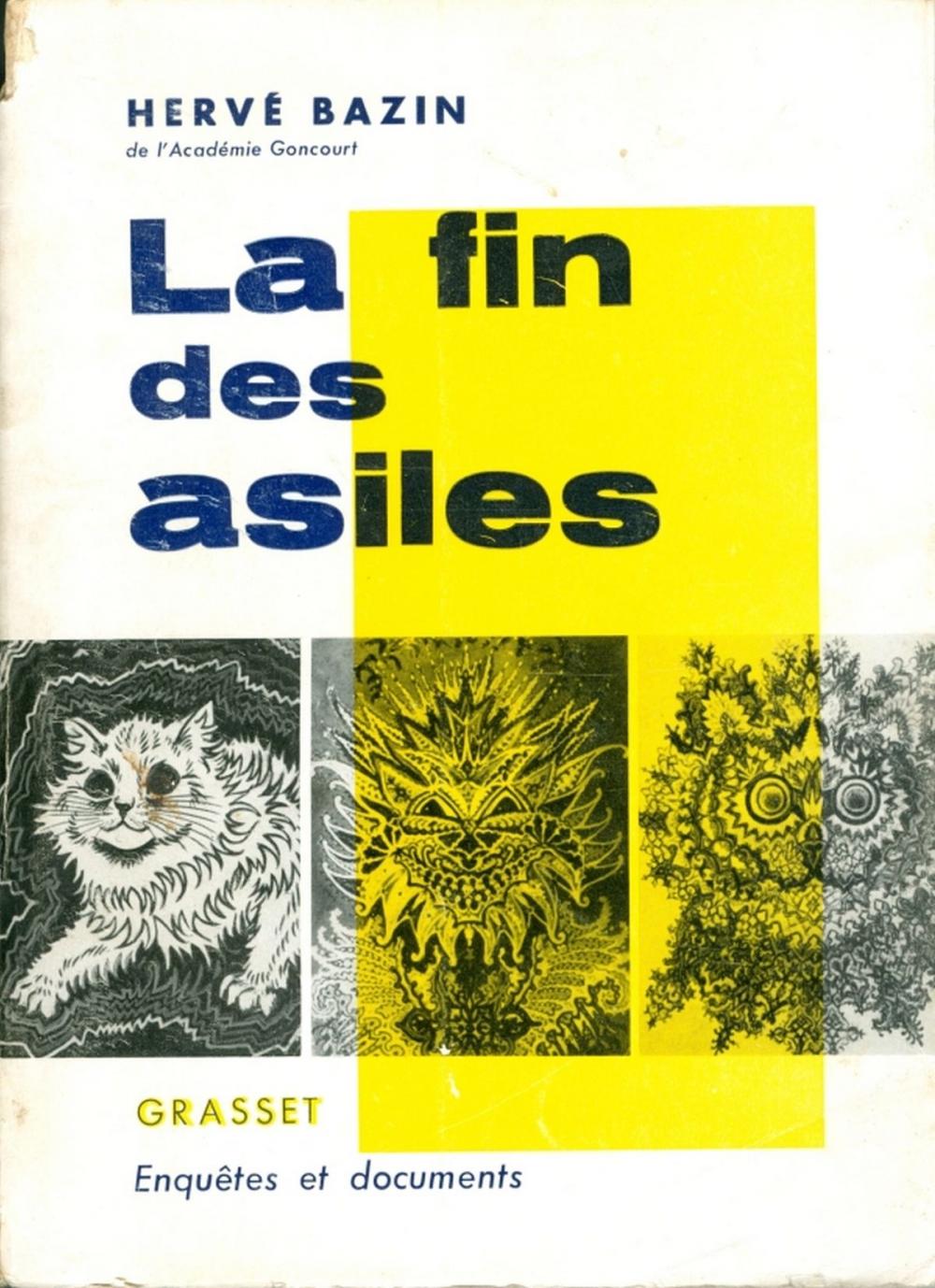 Big bigCover of La fin des asiles