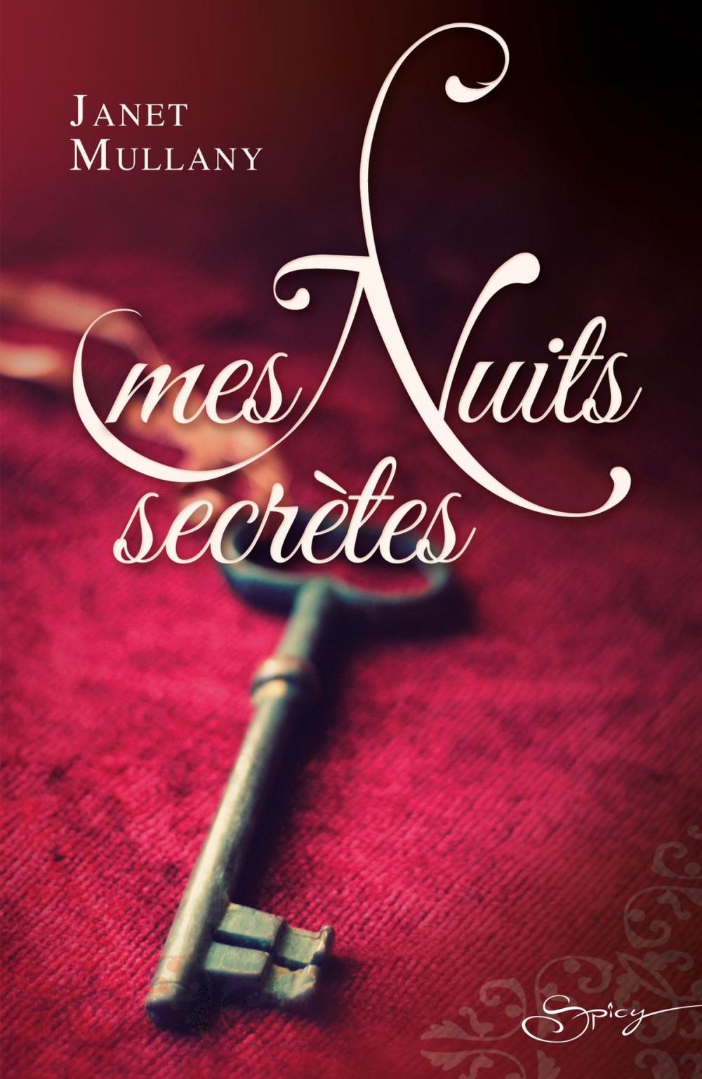 Big bigCover of Mes nuits secrètes