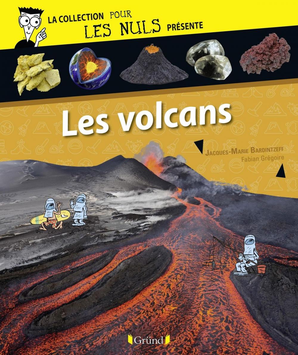 Big bigCover of Pour Les Nuls présente Les volcans