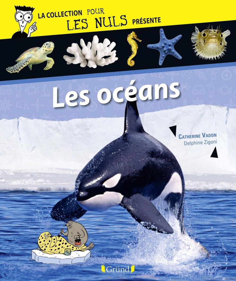 Big bigCover of Pour Les Nuls présente Les océans