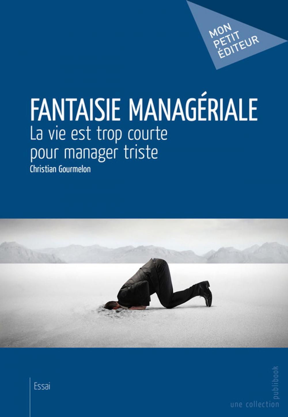 Big bigCover of Fantaisie managériale