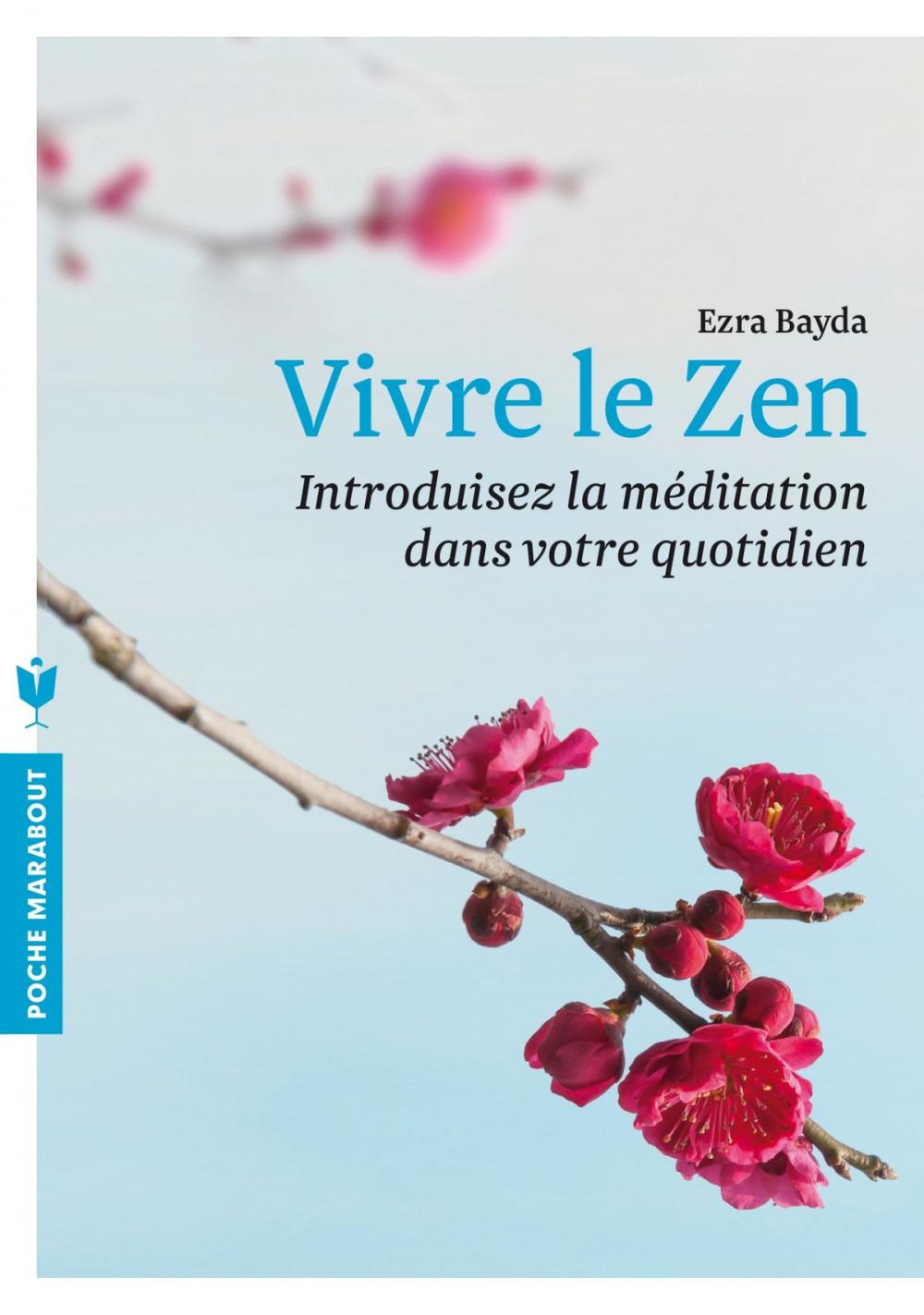 Big bigCover of Vivre le zen