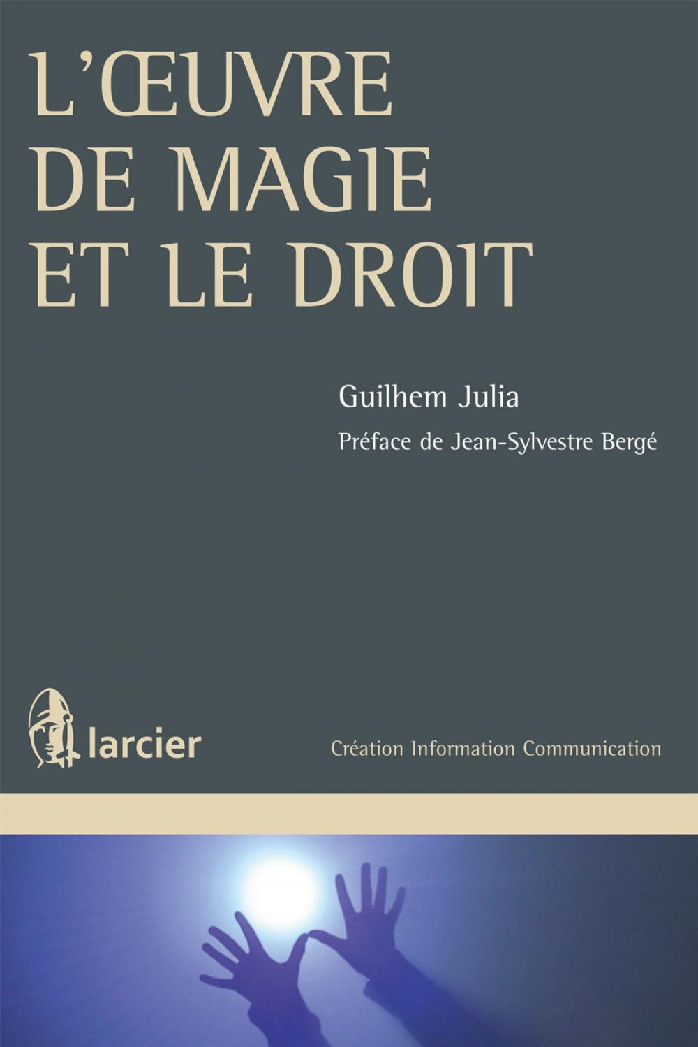 Big bigCover of L'œuvre de magie et le droit