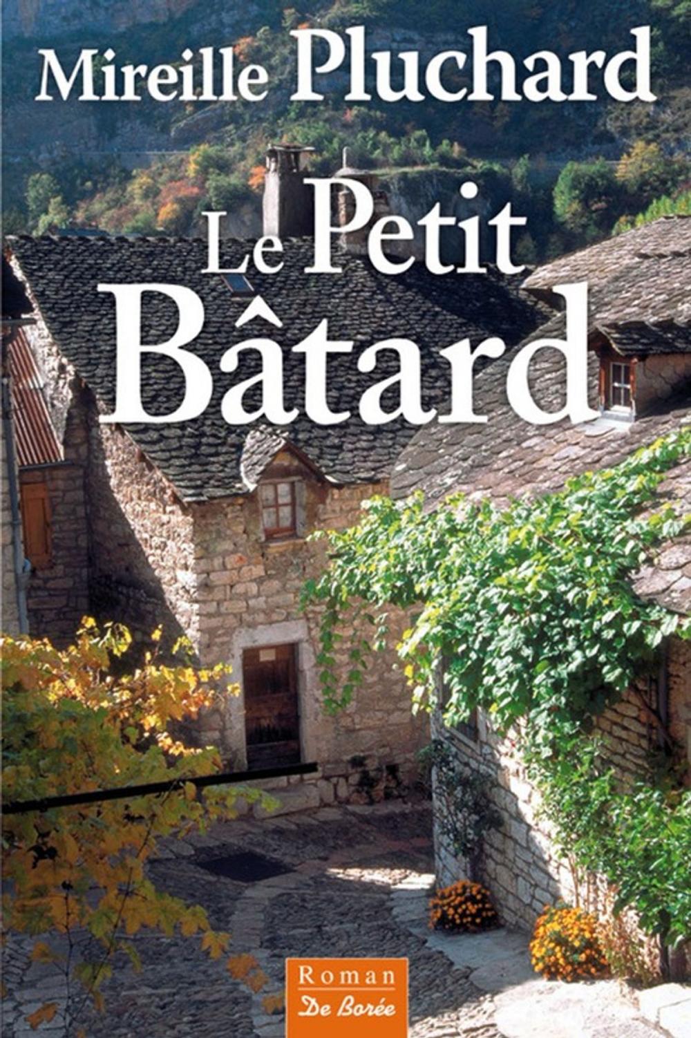 Big bigCover of Le Petit Bâtard