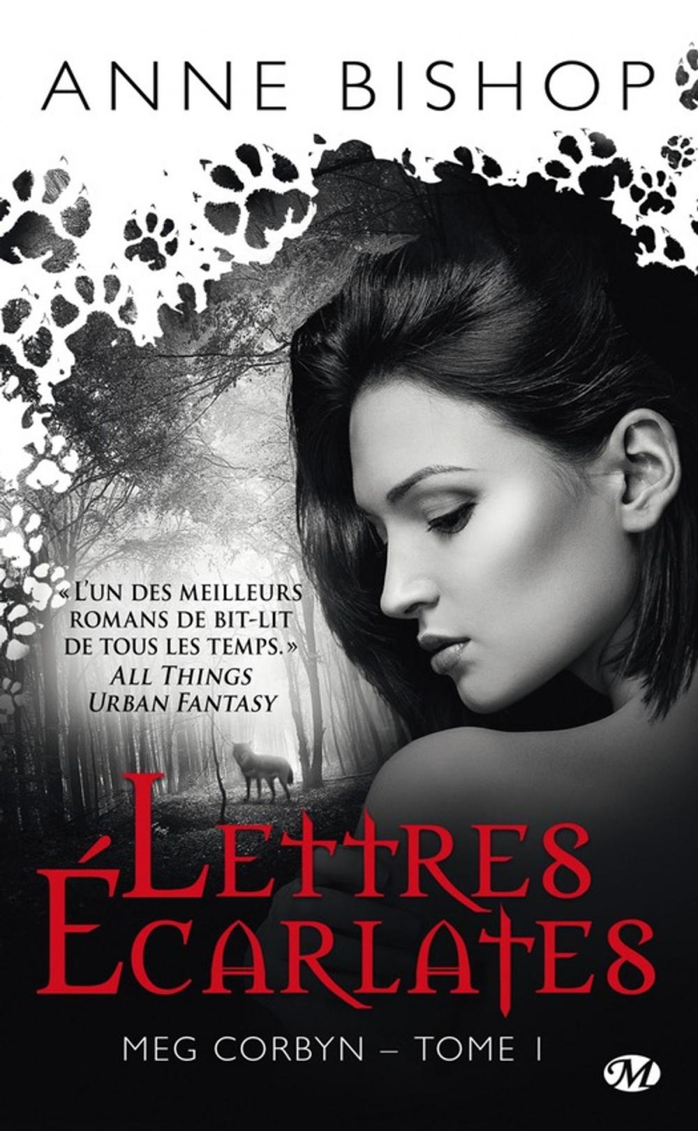 Big bigCover of Lettres écarlates