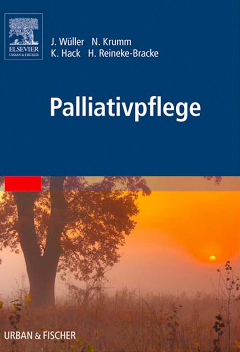 Big bigCover of Palliativpflege