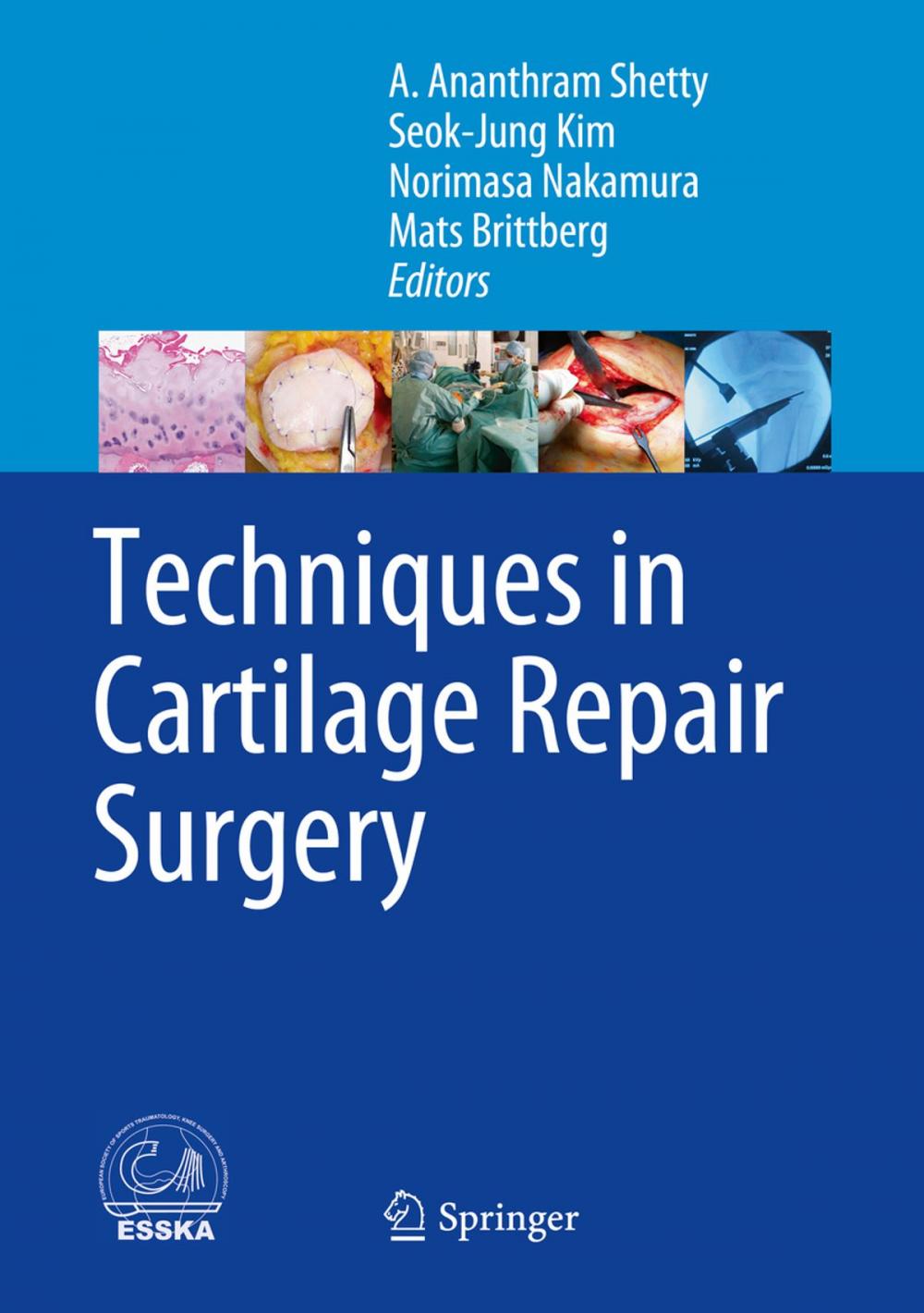 Big bigCover of Techniques in Cartilage Repair Surgery