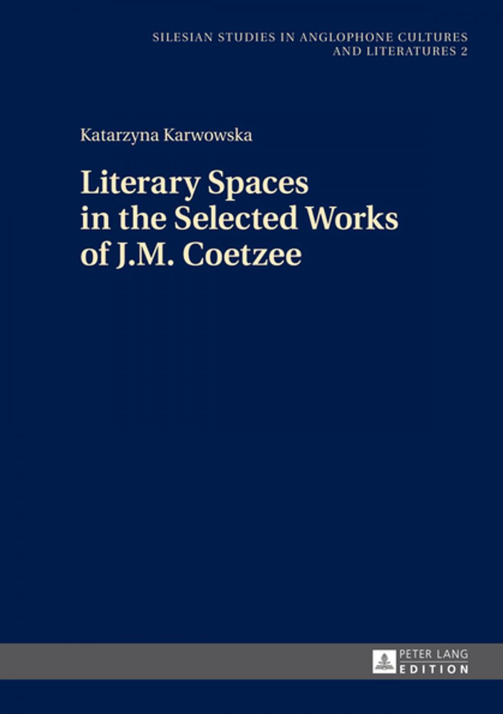 Big bigCover of Literary Spaces in the Selected Works of J.M. Coetzee