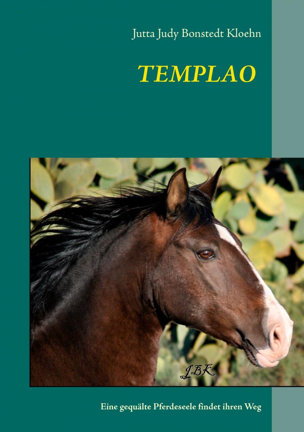 Big bigCover of Templao