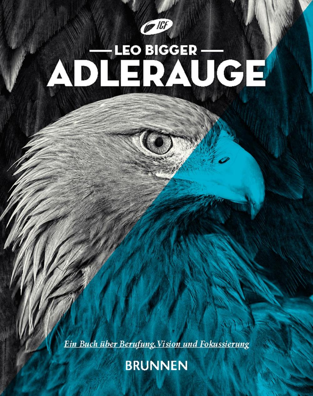 Big bigCover of Adlerauge