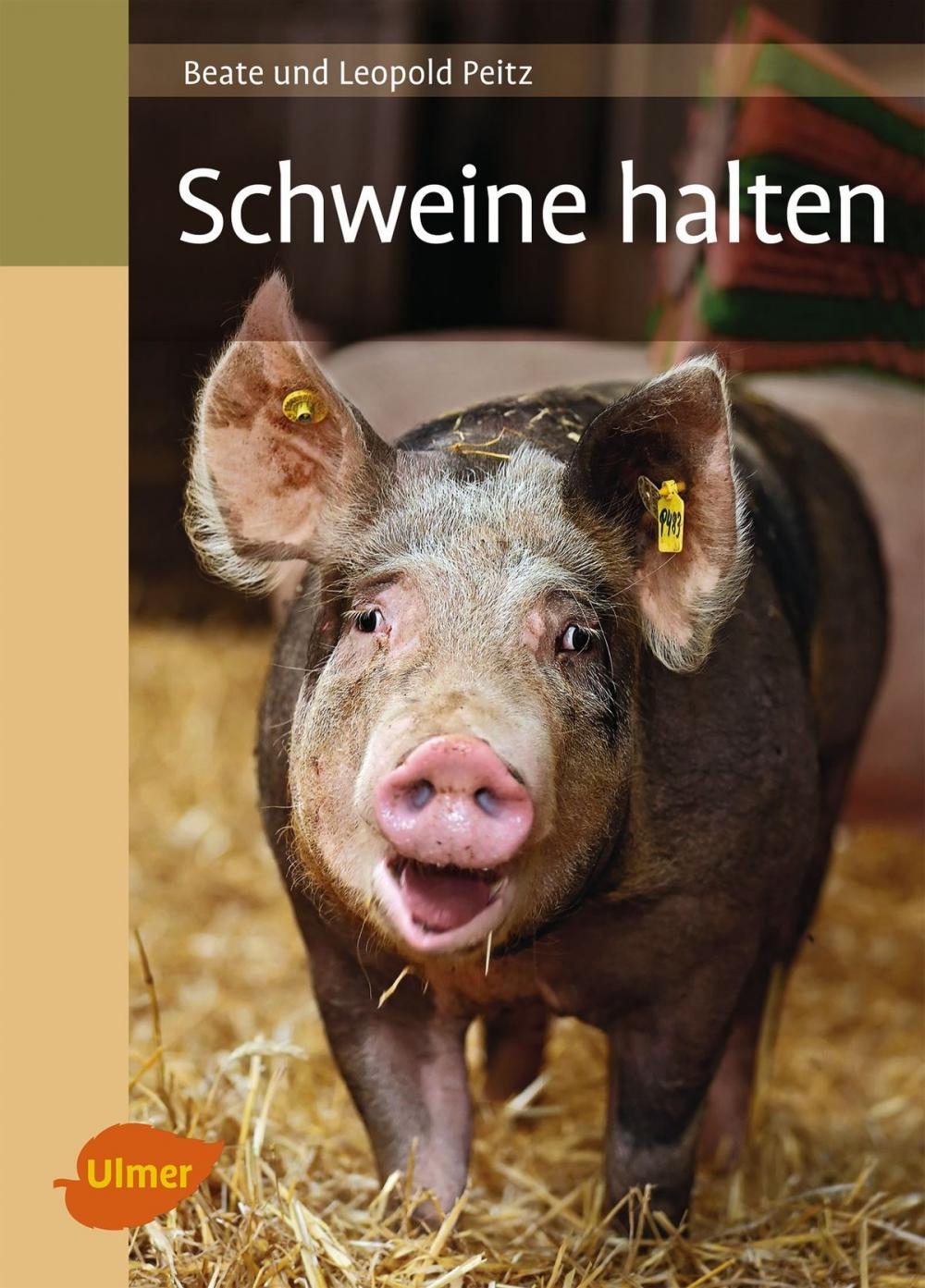 Big bigCover of Schweine halten